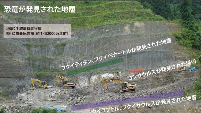 「恐竜が発見された地層」と書かれた地層の写真。3段の地層にそれぞれ「フクイティタン、フクイベナートルが発見された地層」「コシサウルスが発見された場所」「フクイラプトル、フクイサウルスが発見された地層」と書かれている