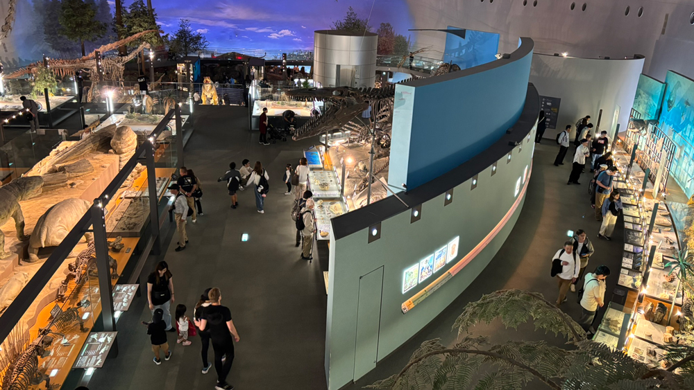 恐竜の博物館内部のようす