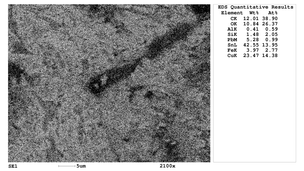 SEM-EDSの結果と視野の像
