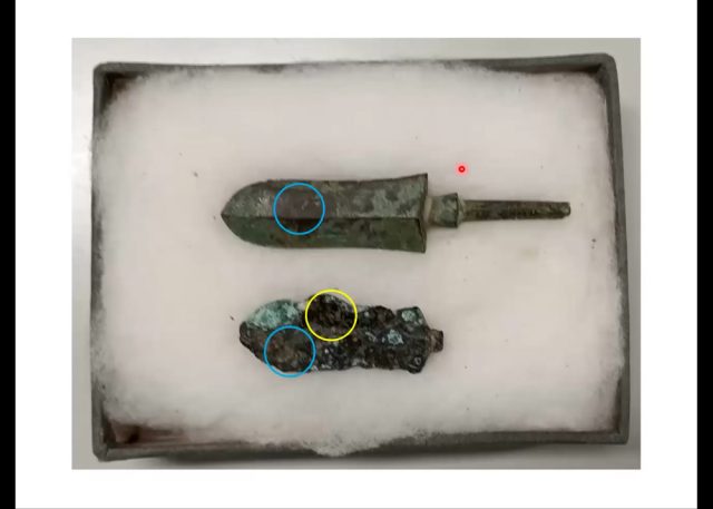 やじり2つの写真